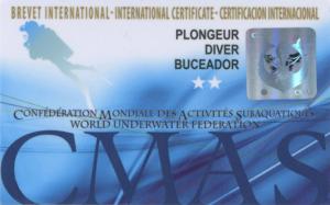 CMAS 2 Star Diver