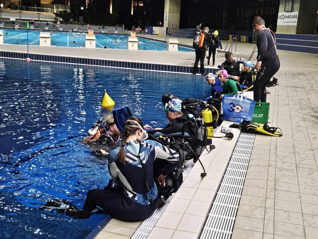 Junior Diving in Coque diving pool