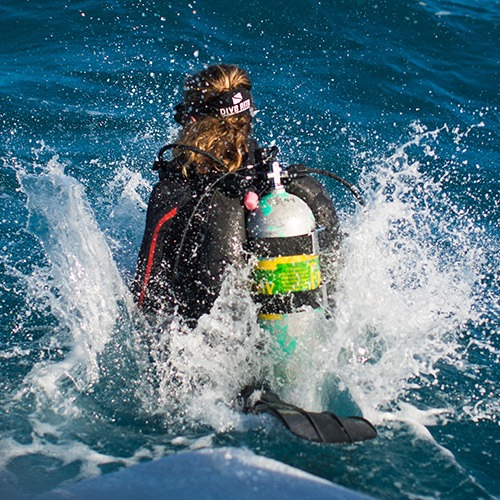 Diver jumping in the water